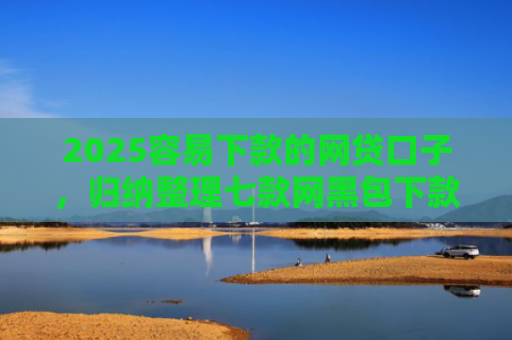 2025容易下款的网贷口子，归纳整理七款网黑包下款的网贷口子