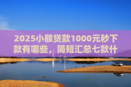 2025小额贷款1000元秒下款有哪些，简短汇总七款什么网贷秒下款新口子
