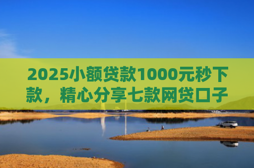 2025小额贷款1000元秒下款，精心分享七款网贷口子怎么填下款高