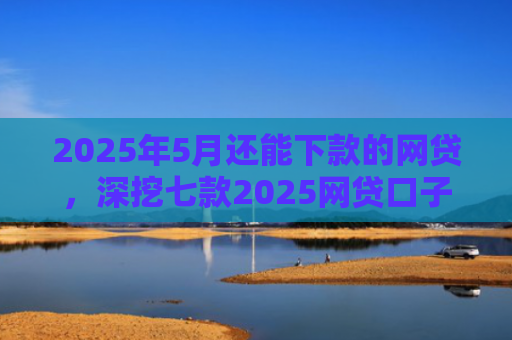 2025年5月还能下款的网贷，深挖七款2025网贷口子下款快