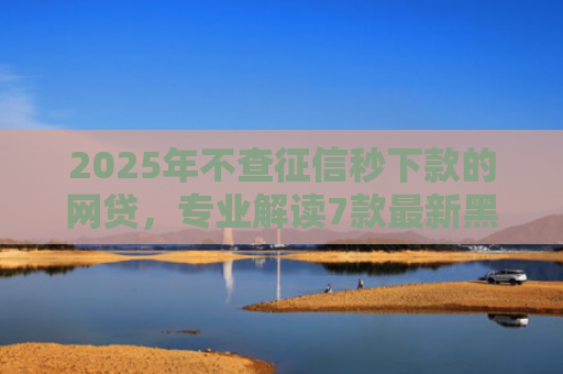 2025年不查征信秒下款的网贷，专业解读7款最新黑户网贷下款口子