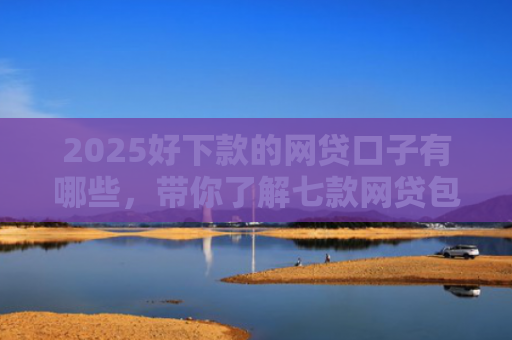 2025好下款的网贷口子有哪些，带你了解七款网贷包下款的口子