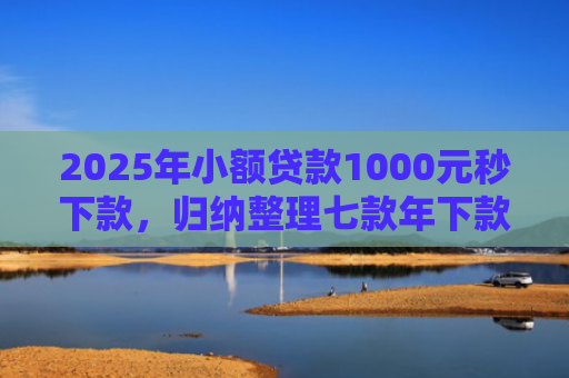 2025年小额贷款1000元秒下款，归纳整理七款年下款的网贷口子