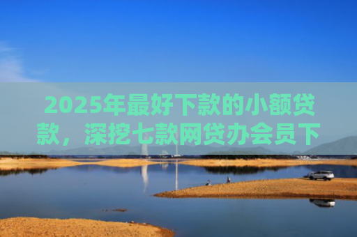 2025年最好下款的小额贷款，深挖七款网贷办会员下款口子