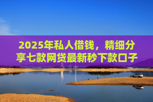 2025年私人借钱，精细分享七款网贷最新秒下款口子
