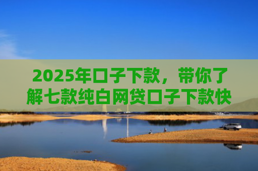 2025年口子下款，带你了解七款纯白网贷口子下款快
