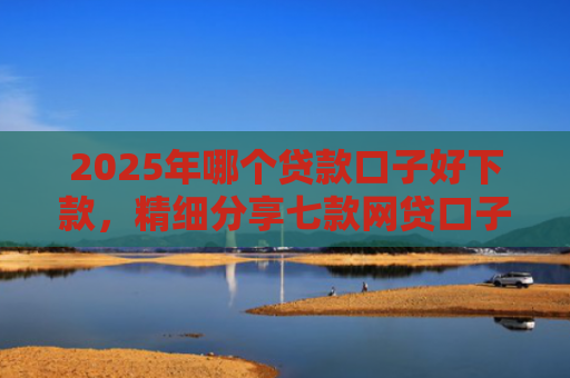 2025年哪个贷款口子好下款，精细分享七款网贷口子直接下款