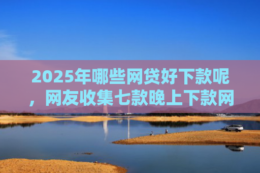 2025年哪些网贷好下款呢，网友收集七款晚上下款网贷口子