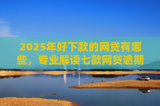 2025年好下款的网贷有哪些，专业解读七款网贷逾期能下款口子