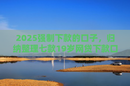 2025强制下款的口子，归纳整理七款19岁网贷下款口子