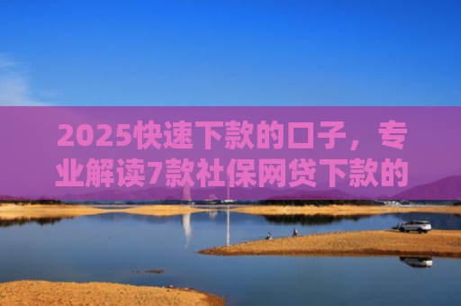 2025快速下款的口子，专业解读7款社保网贷下款的口子