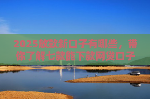 2025放款新口子有哪些，带你了解七款能下款网贷口子大全
