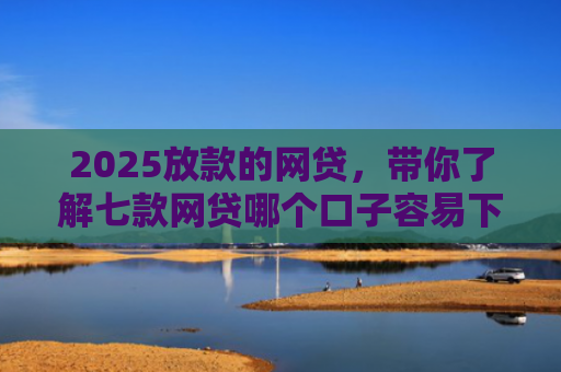 2025放款的网贷，带你了解七款网贷哪个口子容易下款