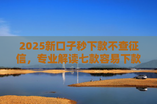2025新口子秒下款不查征信，专业解读七款容易下款的大额网贷口子