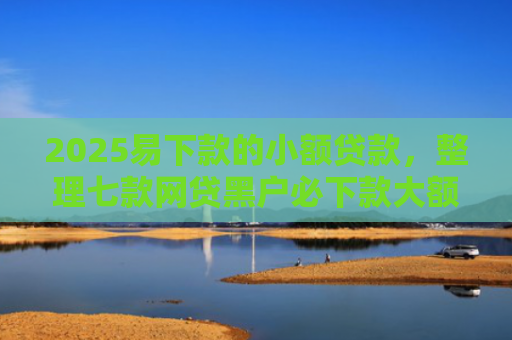2025易下款的小额贷款，整理七款网贷黑户必下款大额口子
