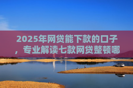 2025年网贷能下款的口子，专业解读七款网贷整顿哪些口子下款