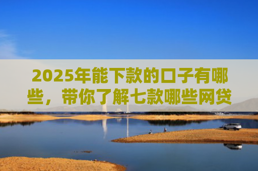 2025年能下款的口子有哪些，带你了解七款哪些网贷口子必下款