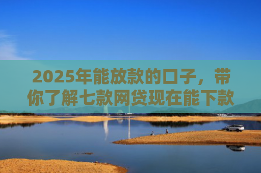 2025年能放款的口子，带你了解七款网贷现在能下款口子