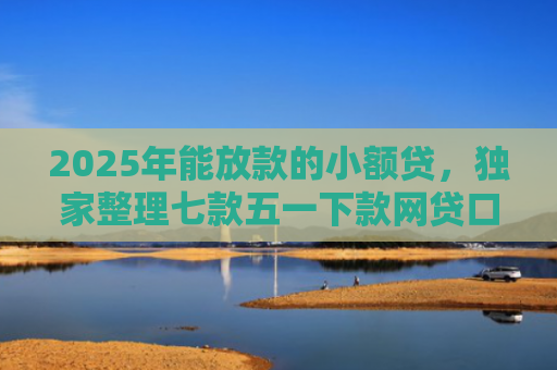 2025年能放款的小额贷，独家整理七款五一下款网贷口子