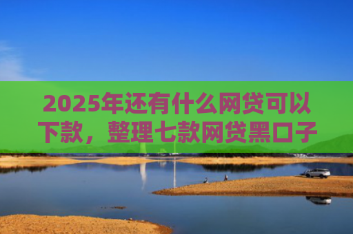 2025年还有什么网贷可以下款，整理七款网贷黑口子必下款