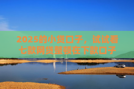 2025的小贷口子，试试看七款网贷整顿在下款口子