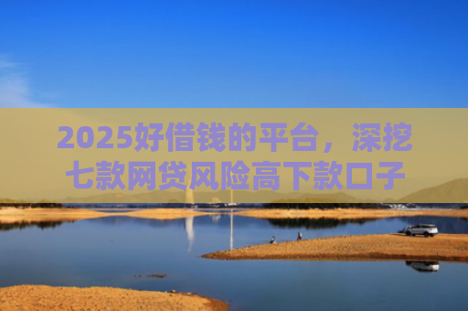 2025好借钱的平台，深挖七款网贷风险高下款口子