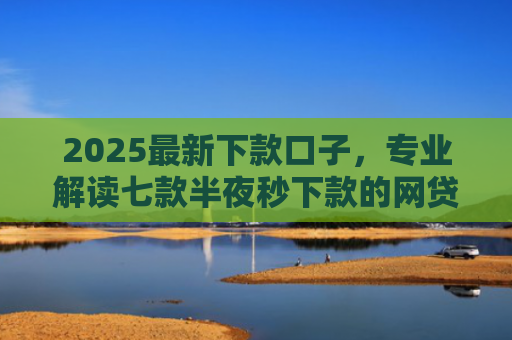2025最新下款口子，专业解读七款半夜秒下款的网贷口子