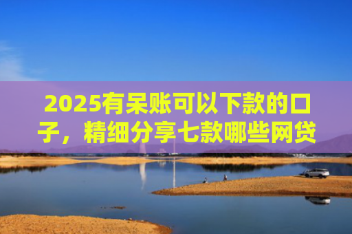 2025有呆账可以下款的口子，精细分享七款哪些网贷口子好下款的