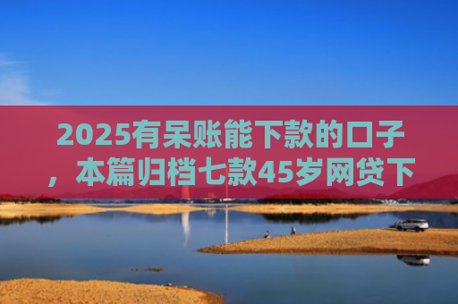 2025有呆账能下款的口子，本篇归档七款45岁网贷下款的口子