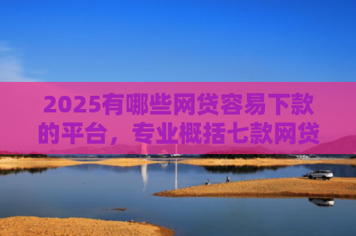 2025有哪些网贷容易下款的平台，专业概括七款网贷买会员必下款口子