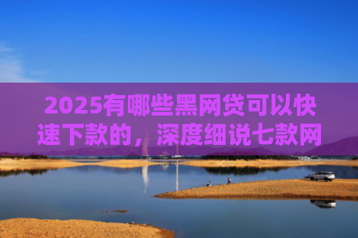 2025有哪些黑网贷可以快速下款的，深度细说七款网贷哪个口子好下款呢