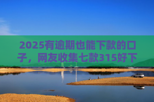 2025有逾期也能下款的口子，网友收集七款315好下款的网贷口子