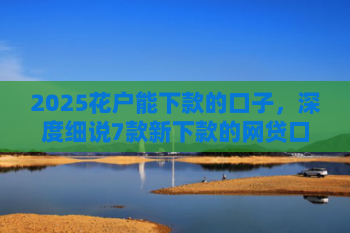 2025花户能下款的口子，深度细说7款新下款的网贷口子