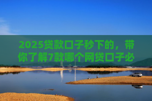 2025贷款口子秒下的，带你了解7款哪个网贷口子必下款