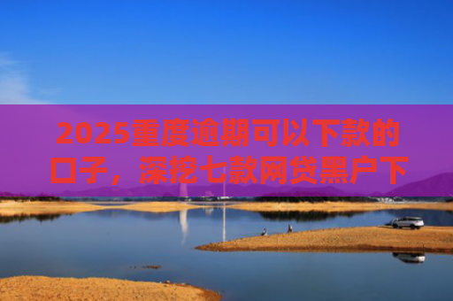 2025重度逾期可以下款的口子，深挖七款网贷黑户下款口子大额