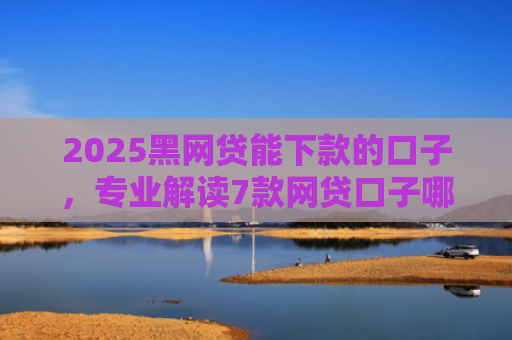 2025黑网贷能下款的口子，专业解读7款网贷口子哪些好下款