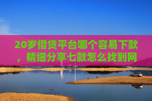 20岁借贷平台哪个容易下款，精细分享七款怎么找到网贷下款的口子