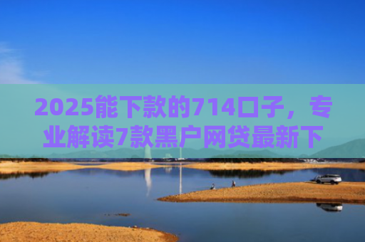 2025能下款的714口子，专业解读7款黑户网贷最新下款口子