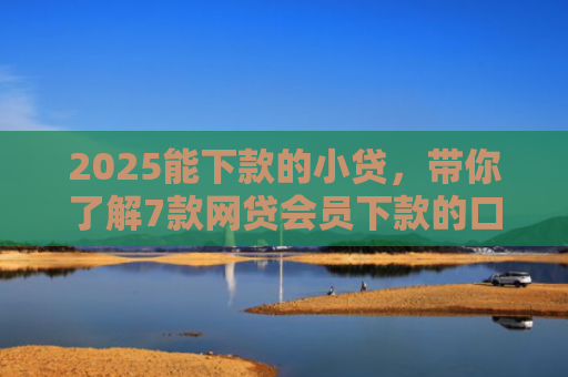 2025能下款的小贷，带你了解7款网贷会员下款的口子