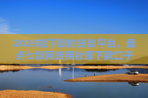 2025能下款的贷款平台，盘点七款网贷用社保下款口子