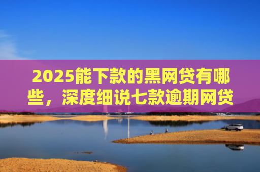 2025能下款的黑网贷有哪些，深度细说七款逾期网贷下款贷款口子