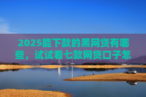 2025能下款的黑网贷有哪些，试试看七款网贷口子怎么好下款