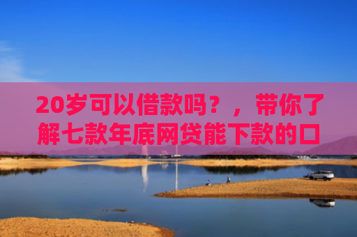 20岁可以借款吗？，带你了解七款年底网贷能下款的口子