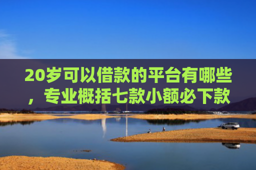 20岁可以借款的平台有哪些，专业概括七款小额必下款的网贷口子
