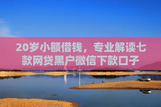 20岁小额借钱，专业解读七款网贷黑户微信下款口子