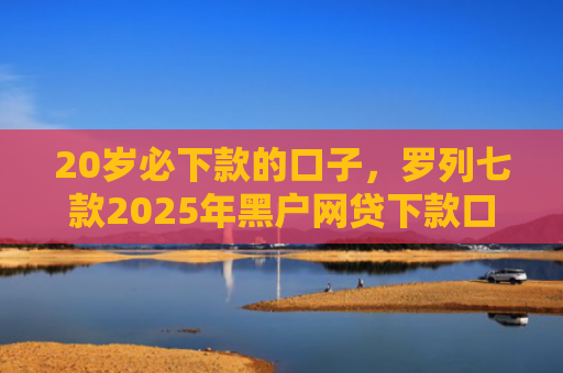 20岁必下款的口子，罗列七款2025年黑户网贷下款口子