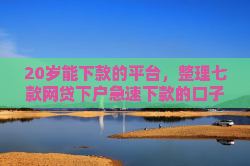 20岁能下款的平台，整理七款网贷下户急速下款的口子