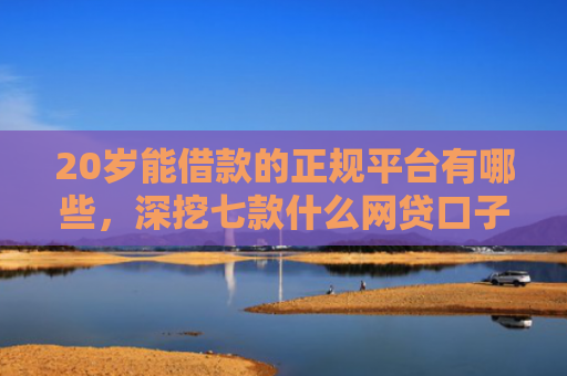 20岁能借款的正规平台有哪些，深挖七款什么网贷口子好下款的