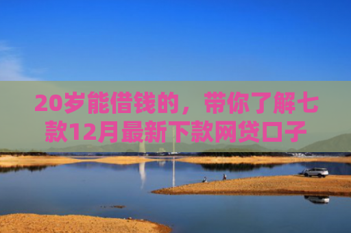 20岁能借钱的，带你了解七款12月最新下款网贷口子