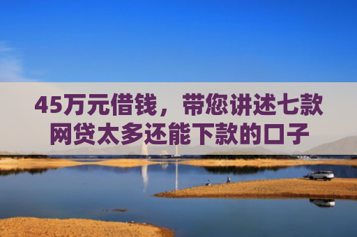 45万元借钱，带您讲述七款网贷太多还能下款的口子